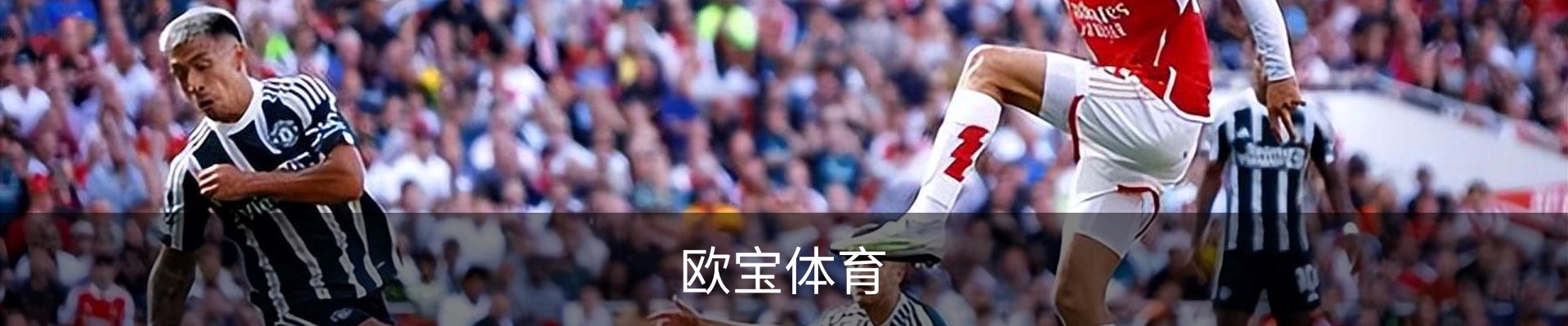 欧宝体育